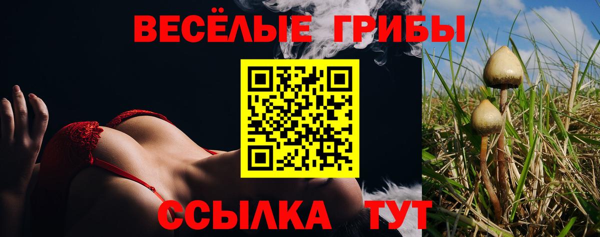 Сибай  Псилоцибиновые грибы GOLDEN TEACHER  Вход с VPN  Псилоцибиновые грибы MAGIC MUSHROOMS 