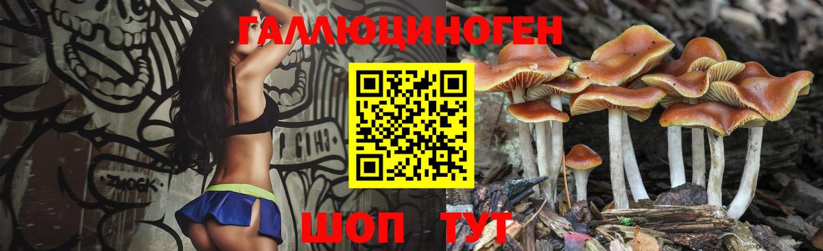 Псилоцибиновые грибы Cubensis Сибай